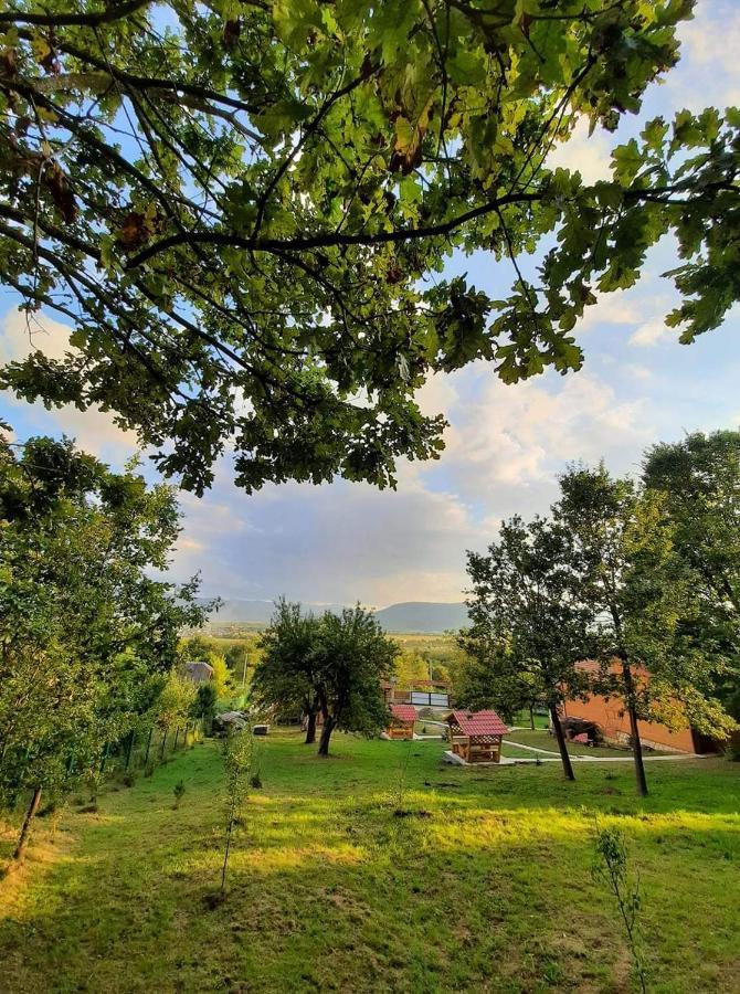 Садиба У Романа Verkhneye Sinevidnoye Exterior photo